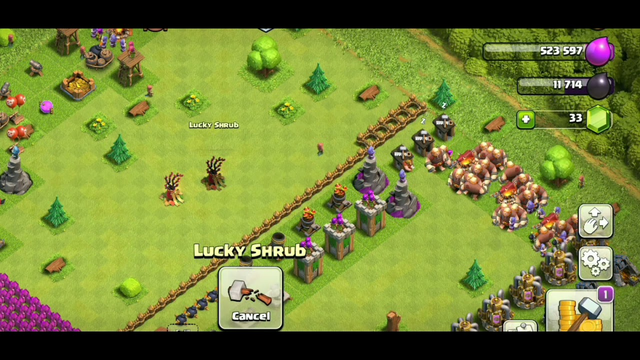What did I get of removing lucky shrub in clash of clans.