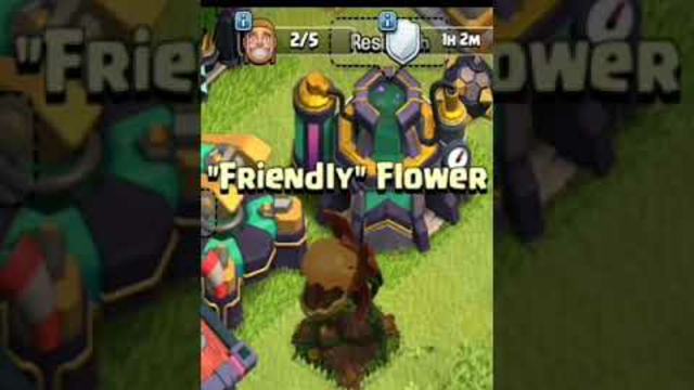 Friendly Flower in Clash of Clans
