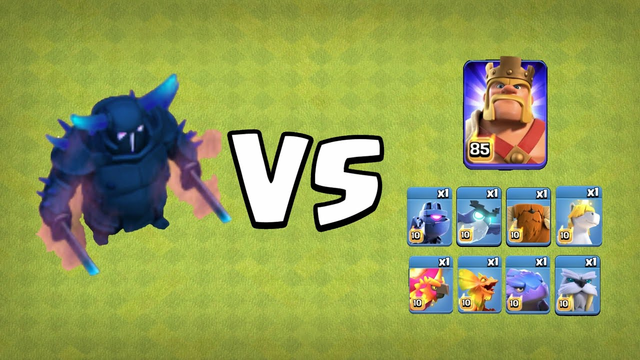 Barbarian King with Pets vs MOMMA | clash of clans | coc